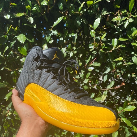 Jordan 12s - Picture 1 of 4